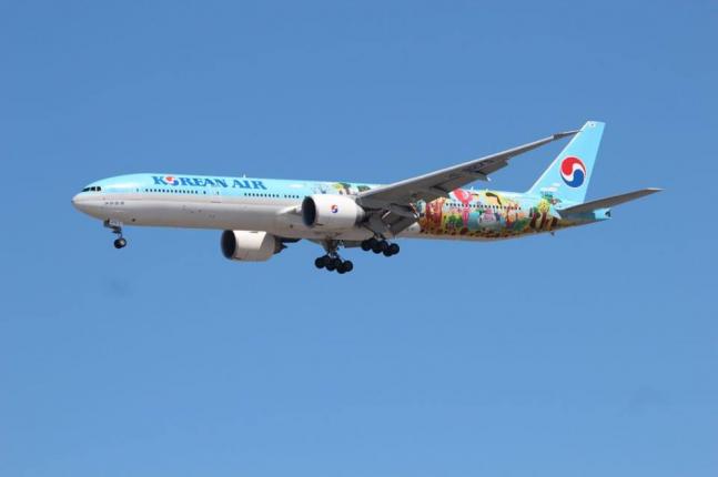 Авиакомпания Korean Air будет совершать туристические чартерные рейсы в Тбилиси  - Netgazeti