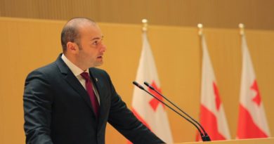 Бахтадзе в парламенте рассказал о достойных пенсиях и инфляции - Netgazeti