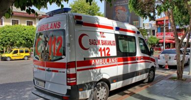 МИД Грузии сообщил о деталях перестрелки в Стамбуле  - Netgazeti