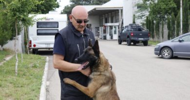 Посольство Чехии передало грузинским таможенникам девять служебных собак   - Netgazeti