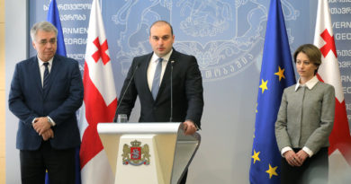 Тикарадзе рассказала, чем займется на посту главы Минздрава Грузии