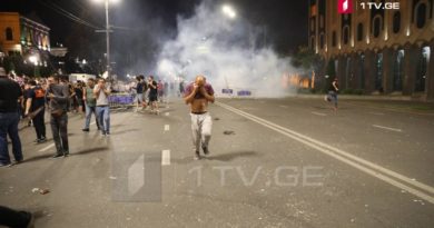 Спецназ применил слезоточивый газ для разгона акции протеста перед парламентом Грузии. ВИДЕО   - Netgazeti