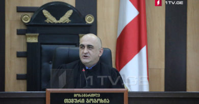Суд запретил Нике Мелия делать публичные заявления в общественных местах - Netgazeti