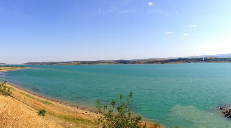 Специалисты проверили качество воды в Тбилисском море - Netgazeti