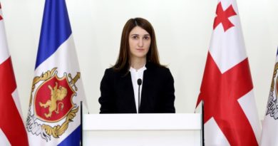 В парламенте рассматривают кандидатуры на пост госинспектора Грузии - Netgazeti