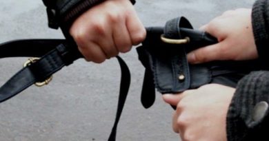 Полиция раскрыла ограбление прохожего в Тбилиси - Netgazeti