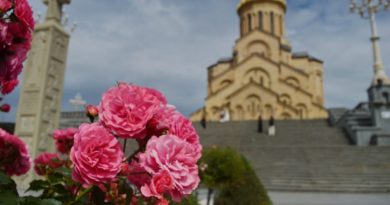 В Грузии пройдет межпарламентская Ассамблея православия   - Netgazeti
