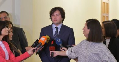 Кобахидзе прокомментировал скандал с российским депутатом Гавриловым - Netgazeti