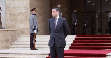 Глава МВД хочет выступить в парламенте Грузии - Netgazeti