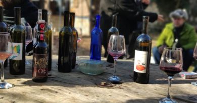 Фестиваль натурального вина и еды пройдет в Тбилиси в июне - Netgazeti