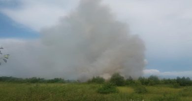 В Гурии в труднодоступной местности возник пожар - Netgazeti