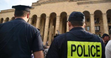 МВД Грузии призывают протестующих покинуть территорию у парламента - Netgazeti