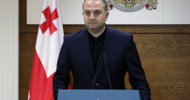 Советник Бахтадзе: радикальная повестка вредит интересам Грузии и России - Netgazeti