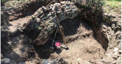 Археологи предполагают, что обнаружили замок царя Квирике III - Netgazeti