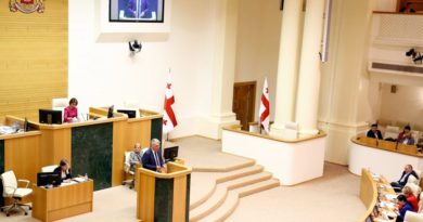 Глава Минздрава Грузии рассказал о недочетах системы назначения соцпомощи - Netgazeti
