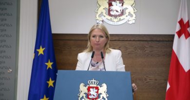 Антидемпинговое законодательство задействуют в Грузии в 2020 году - Netgazeti