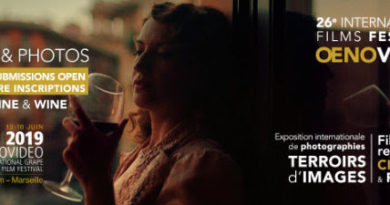 Фильм «Грузия – родина вина» получил специальный приз во Франции - Netgazeti