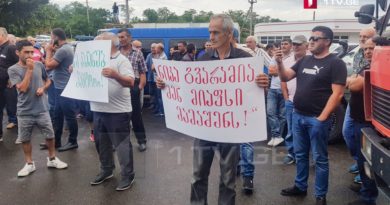 Виноделы устроили пикет в Кахетии, чтобы опротестовать заявление Гварамия