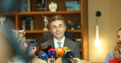 Иванишвили: Отставка Гахария сегодня была бы предательством родины   - Netgazeti