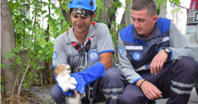 В Тбилиси спасатели вытащили котенка из 10-метровой ямы. ФОТО - Netgazeti