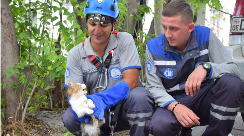 В Тбилиси спасатели вытащили котенка из 10-метровой ямы. ФОТО - Netgazeti