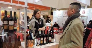 Грузия планирует увеличить экспорт вина в Японию - Netgazeti