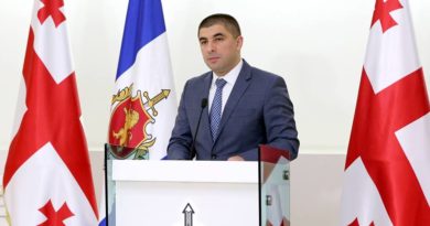 МВД: Окруашвили задержан за «попытку штурма парламента» 20 июня - Netgazeti