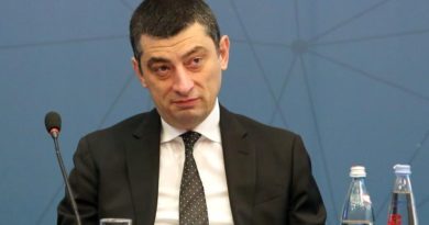 Глава МВД Грузии заявил экспертам, что не собирается в отставку - Netgazeti