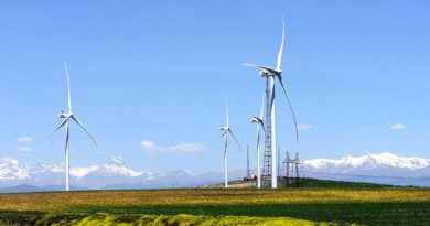 Власти Грузии продадут ветряную электростанцию "Картли" - Netgazeti