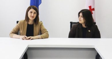 Лонда Толорая приступила к работе на должности госинспектора Грузии   - Netgazeti