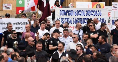 МВД призывало организаторов акций в центре Тбилиси не допустить насилия - Netgazeti