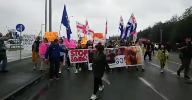 «Разбудить Иванишвили» – в Шекветили протестующие с сиренами пришли к резиденции экс-премьера - Netgazeti