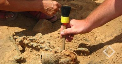 Около Батуми археологи обнаружили древние монеты римского периода  - Netgazeti