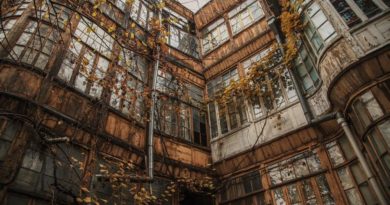 MTV публикует обзор для туристов по «новому любимому городу» Тбилиси - Netgazeti