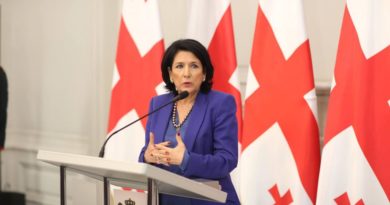 Зурабишвили призвала эмигрантов восстановить гражданство Грузии по упрощенной процедуре - Netgazeti