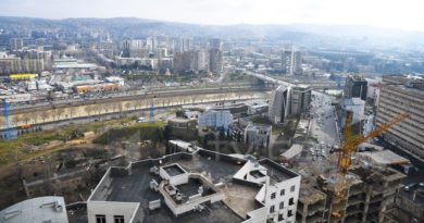 Министерство экономики Грузии приостановило продажу продукции трех производителей стройматериалов - Netgazeti