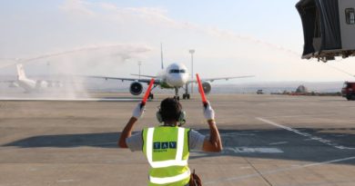 Пассажиропоток в аэропортах Грузии снизился на 10% - Netgazeti