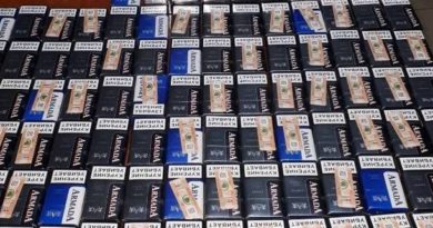 В Грузии изъяли более 40,7 тысячи штук контрабандных сигарет - Netgazeti