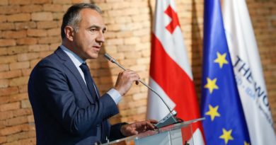 В Грузии объявили о проведении реформы в сфере культуры   - Netgazeti