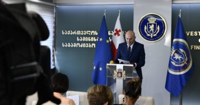 Минфин Грузии раскрыл уклонение от налогов на 100 миллионов лари  - Netgazeti