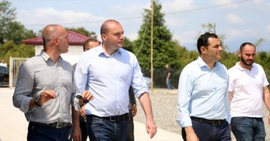Базтадзе связал перестановки в правительстве с предвыборной программой "Грузинской мечты" - Netgazeti