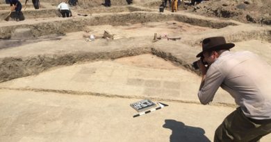 Руины дворца V века до нашей эры обнаружены в Алазанской долине - Netgazeti