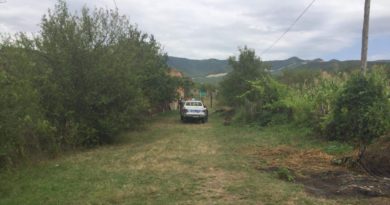 Цихелашвили: Начатые незаконные работы у разделительной линии прекращены - Netgazeti