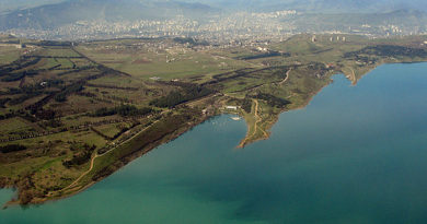 Специалисты разрешили купаться на Тбилисском море — качество воды в пределах нормы - Netgazeti