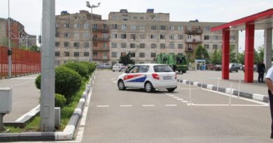 МВД Грузии выдало больше всего водительских прав в июле  - Netgazeti