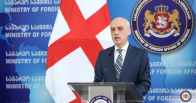 Глава МИД Грузии: Процесс бордеризации у разделительной линии приостановлен - Netgazeti