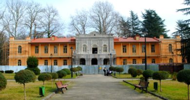 В Зугдидском дворце Нико Дадиани устроят музей - Netgazeti