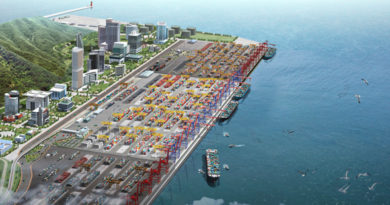 Турнава: Правительство продолжит поддержку проекта строительства порта в Анаклия - Netgazeti