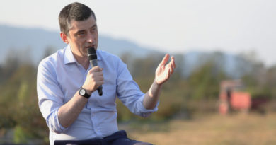Премьер Грузии назвал сумму потерь от запрета на полеты из России - Netgazeti