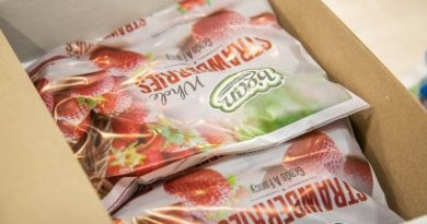 Грузинские замороженные ягоды впервые экспортировали в США - Netgazeti